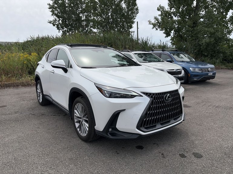 2024 Lexus NX