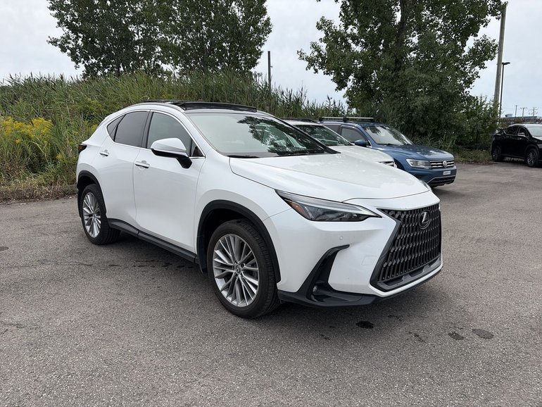 2024 Lexus NX