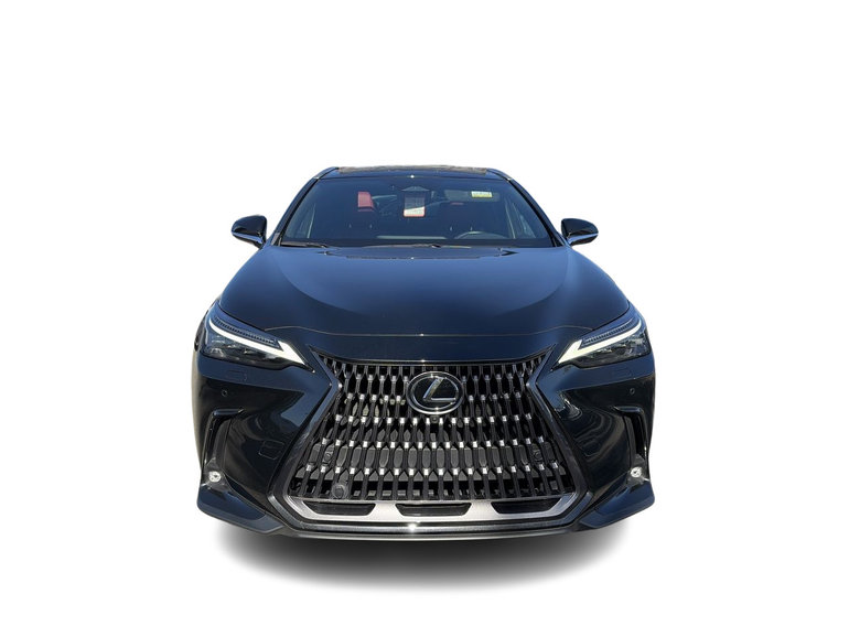 2024 Lexus NX