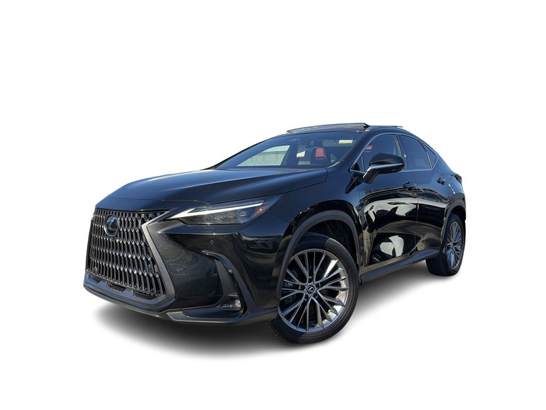 2024 Lexus NX