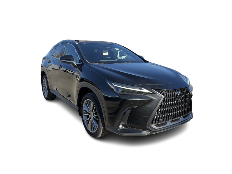 2024 Lexus NX