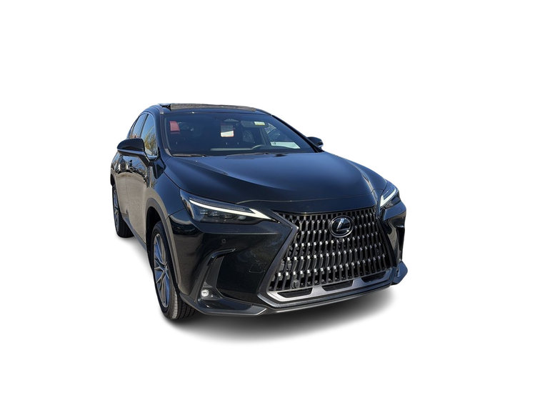 2024 Lexus NX