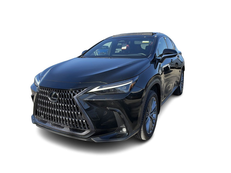 2024 Lexus NX