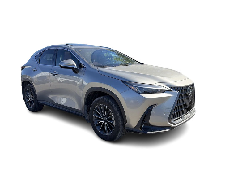 2025 Lexus NX