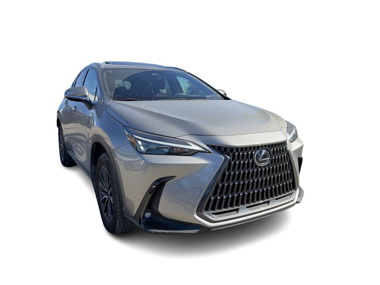 2025 Lexus NX