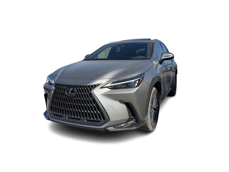2025 Lexus NX