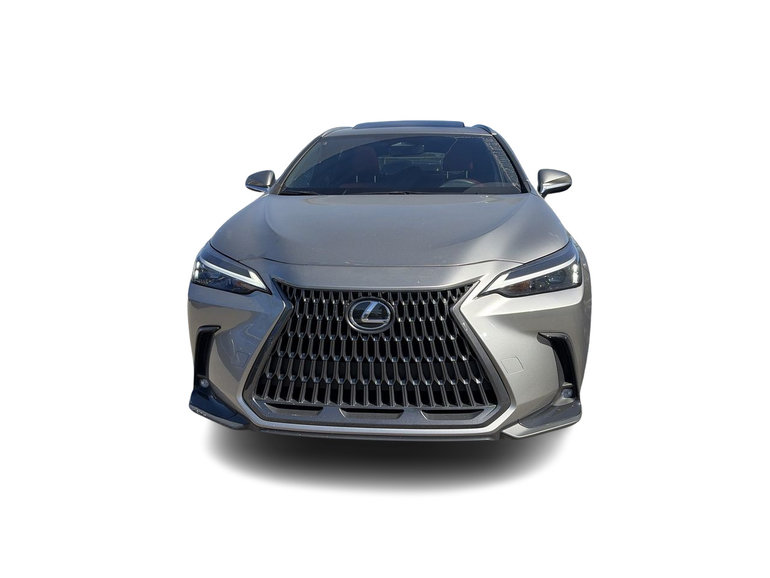 2025 Lexus NX