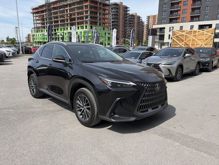 2025 Lexus NX