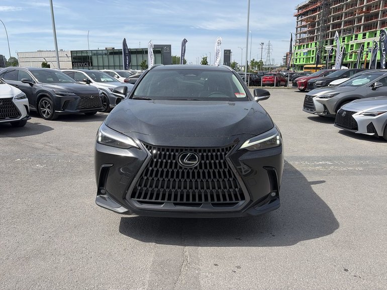 2025 Lexus NX