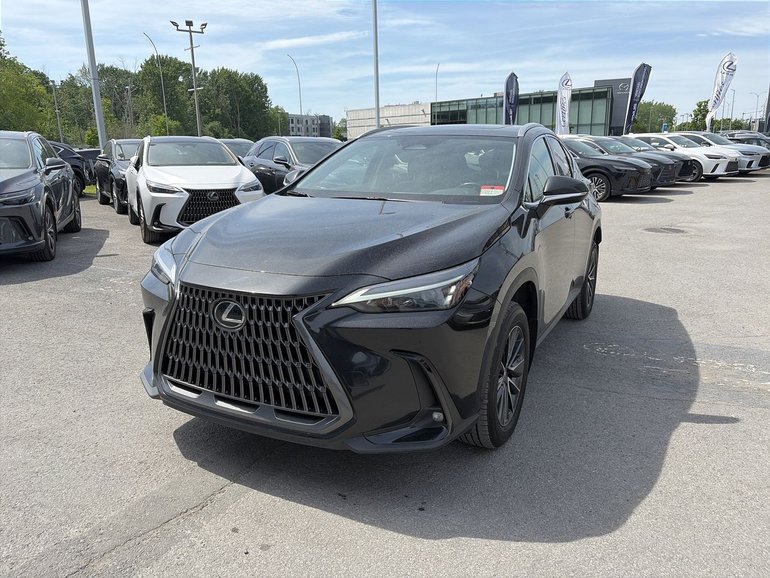 2025 Lexus NX