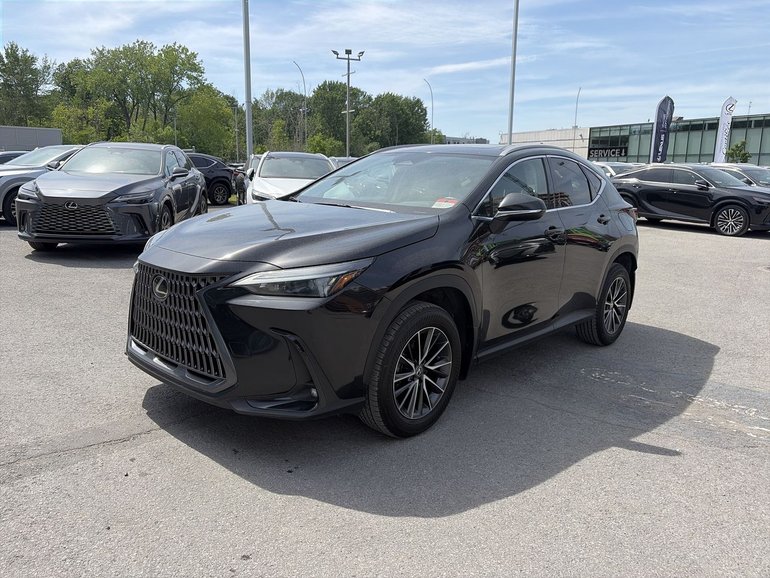 2025 Lexus NX