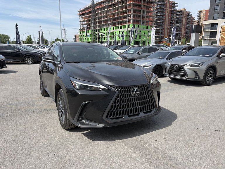 2025 Lexus NX