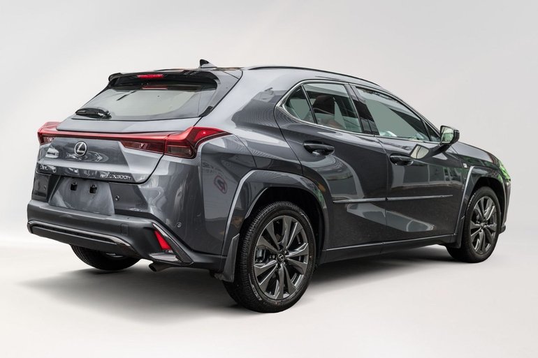 2024 Lexus UX 250h
