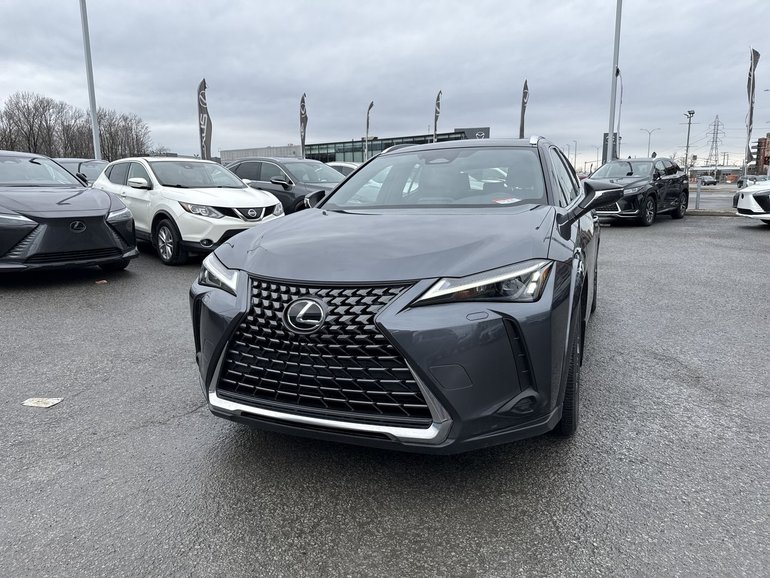 2024 Lexus UX 250h