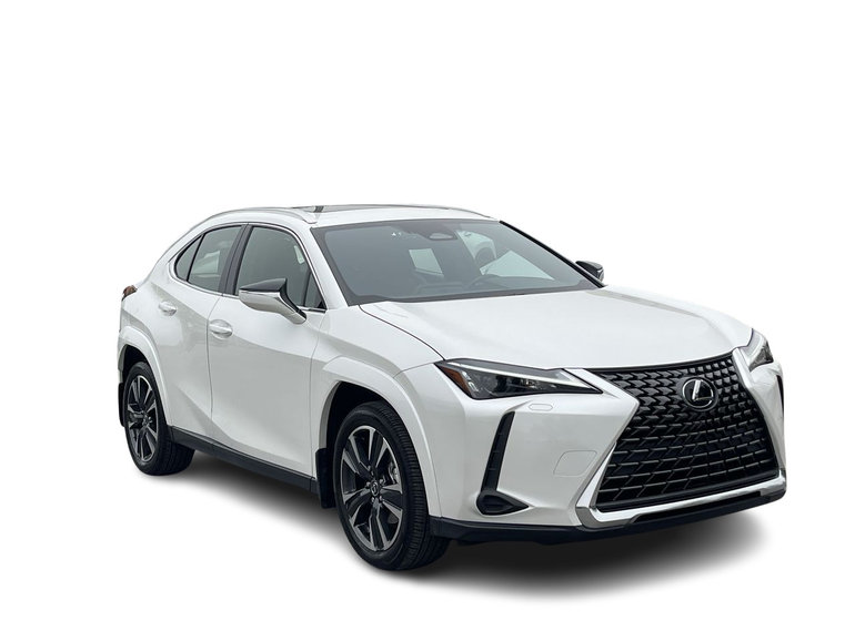 2025 Lexus UX