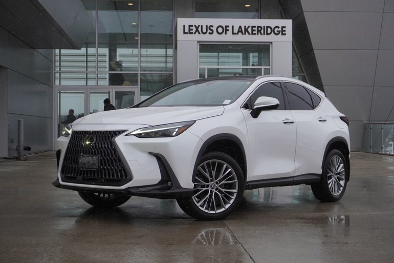 2022 Lexus NX