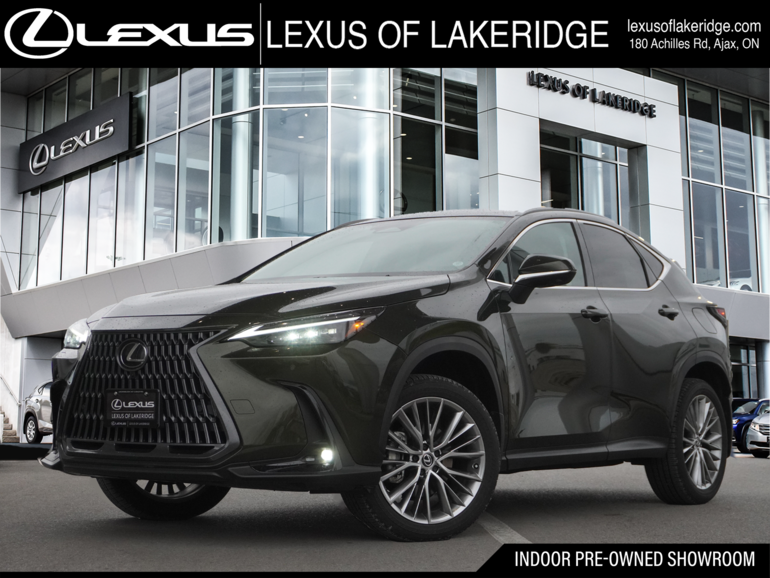 2024 Lexus NX