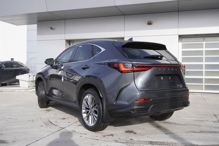 2026 Lexus NX