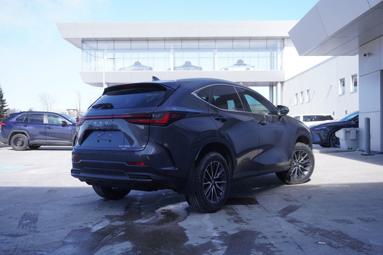2026 Lexus NX