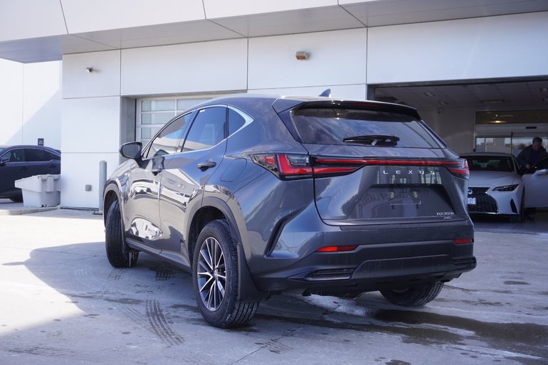 2026 Lexus NX