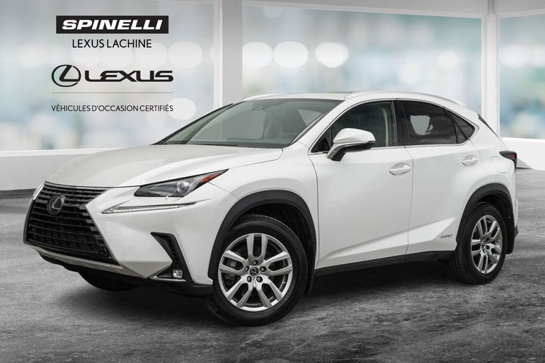 2021 Lexus NX 300h