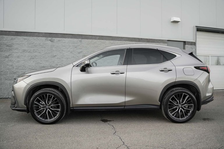 2022 Lexus NX