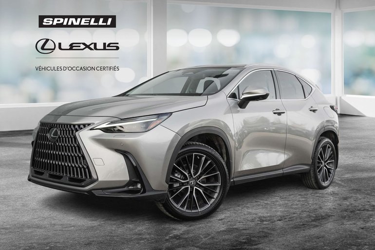 2022 Lexus NX