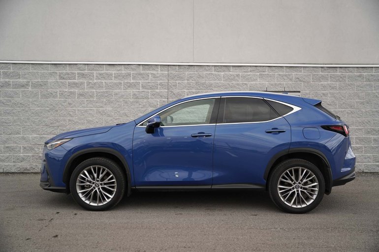 2024 Lexus NX 350h