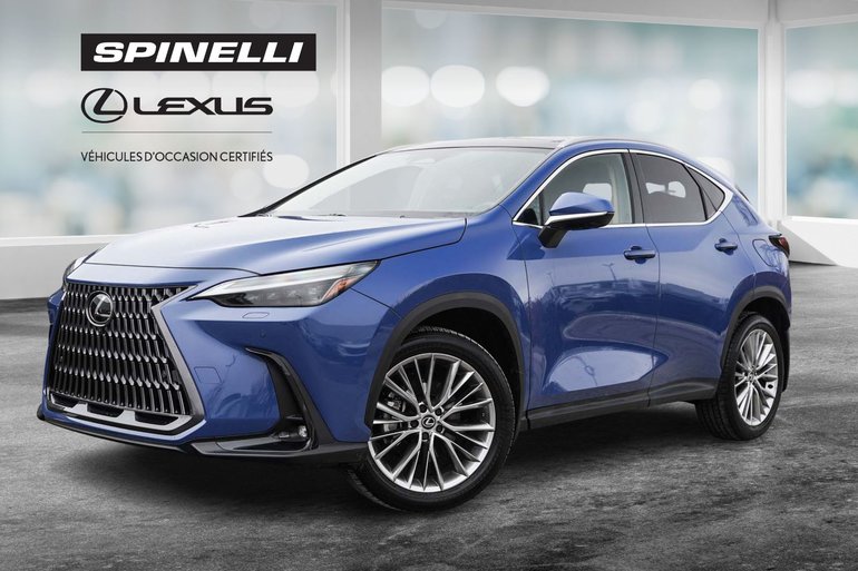 2024 Lexus NX
