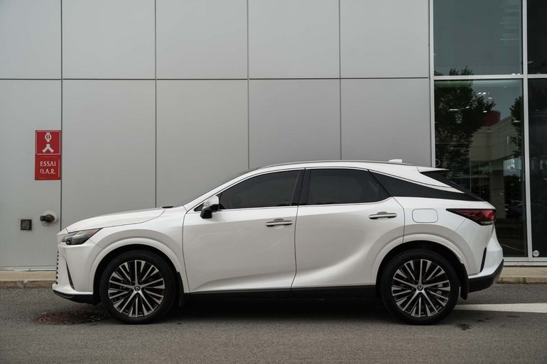 2024 Lexus RX