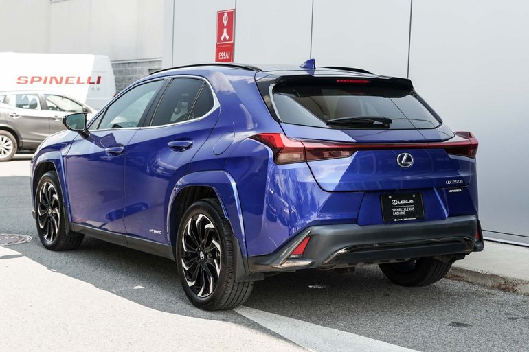 Image 9