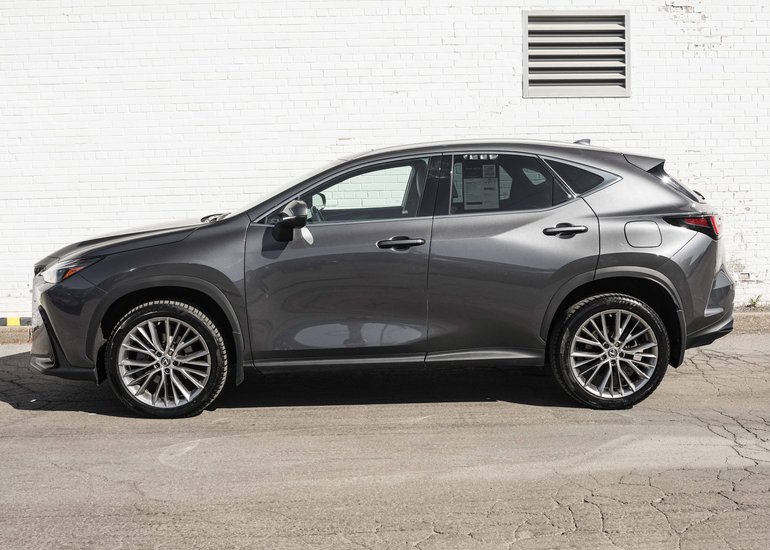 2023 Lexus NX 350