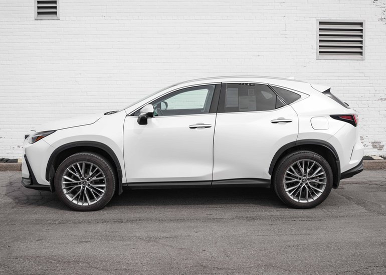 2023 Lexus NX 350