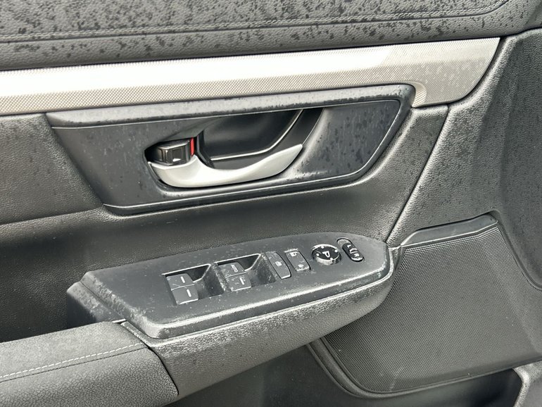 Image 19