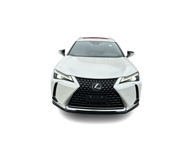 2024 Lexus UXh
