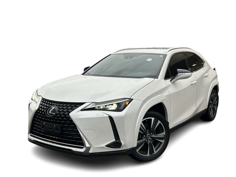 2024 Lexus UXh