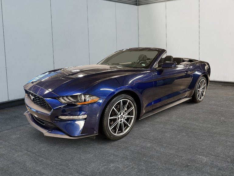 2019 Ford Mustang