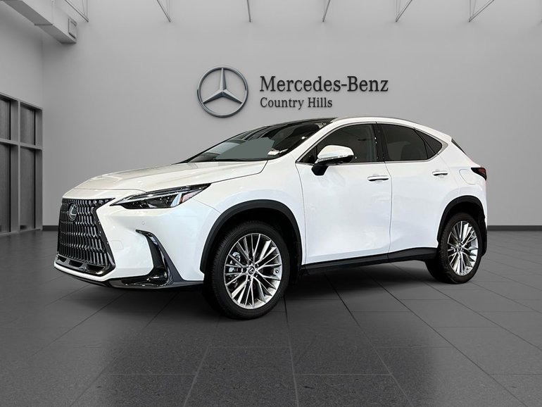 2023 Lexus NXh