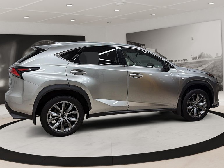 2021 Lexus NX