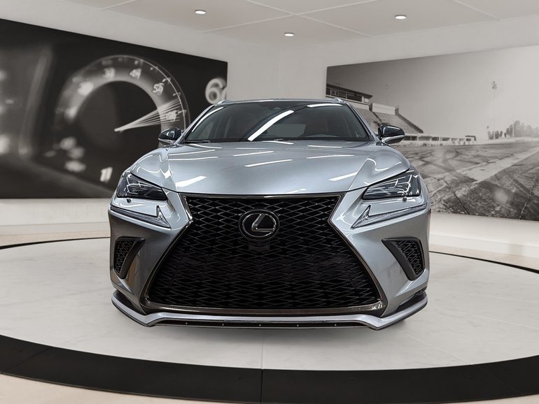 2021 Lexus NX
