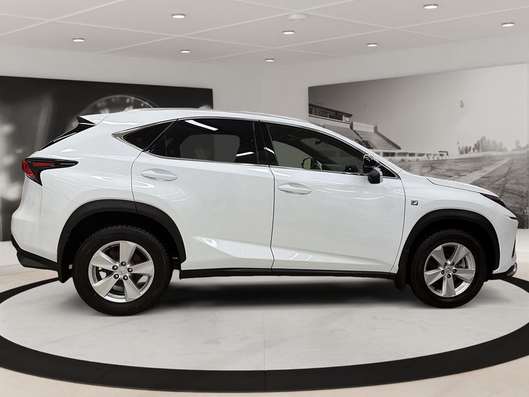 2021 Lexus NX