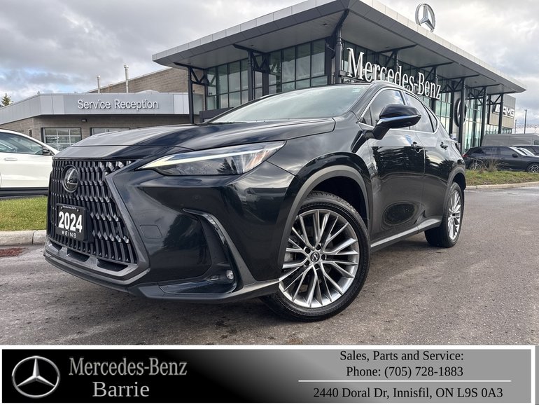 2024 Lexus NX