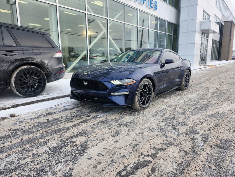 2019 Ford Mustang