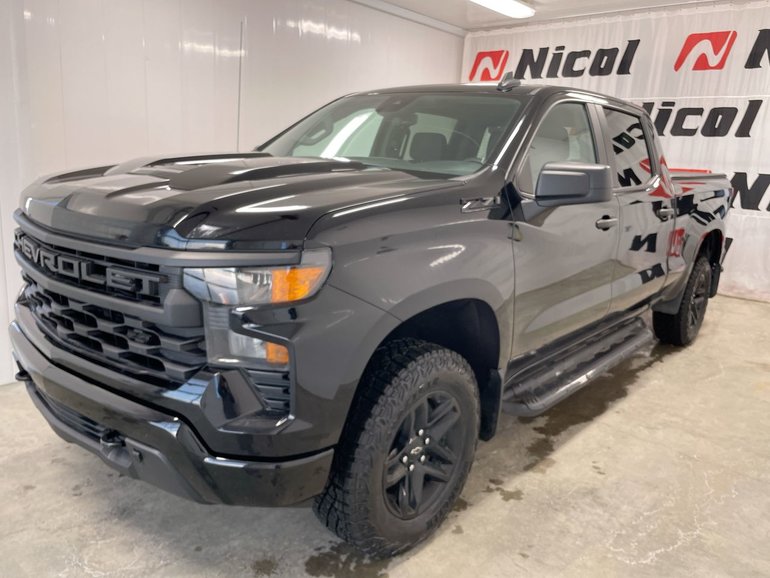 2022 Chevrolet SILVERADO 1500