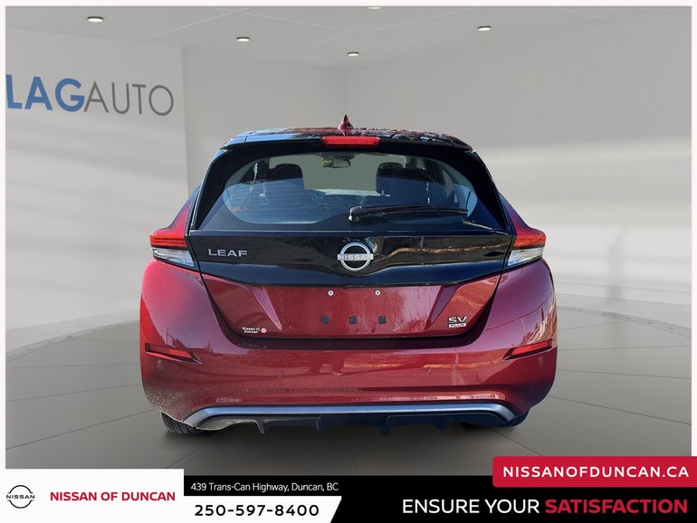 2019 Nissan Leaf