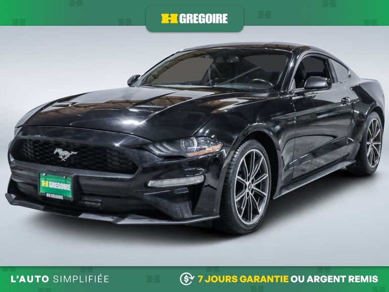 2019 Ford Mustang