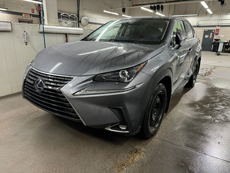 2020 Lexus NX