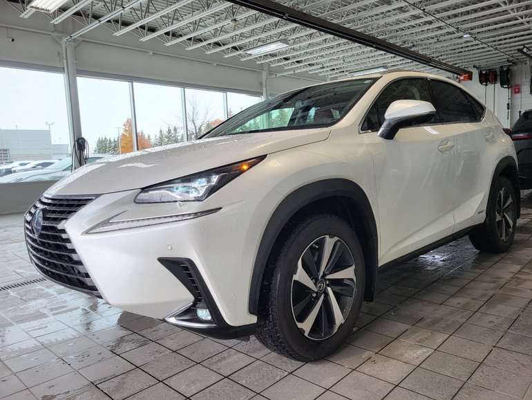 2021 Lexus NX
