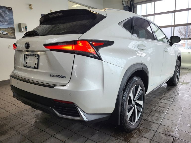 2021 Lexus NX