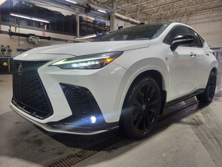 2022 Lexus NX
